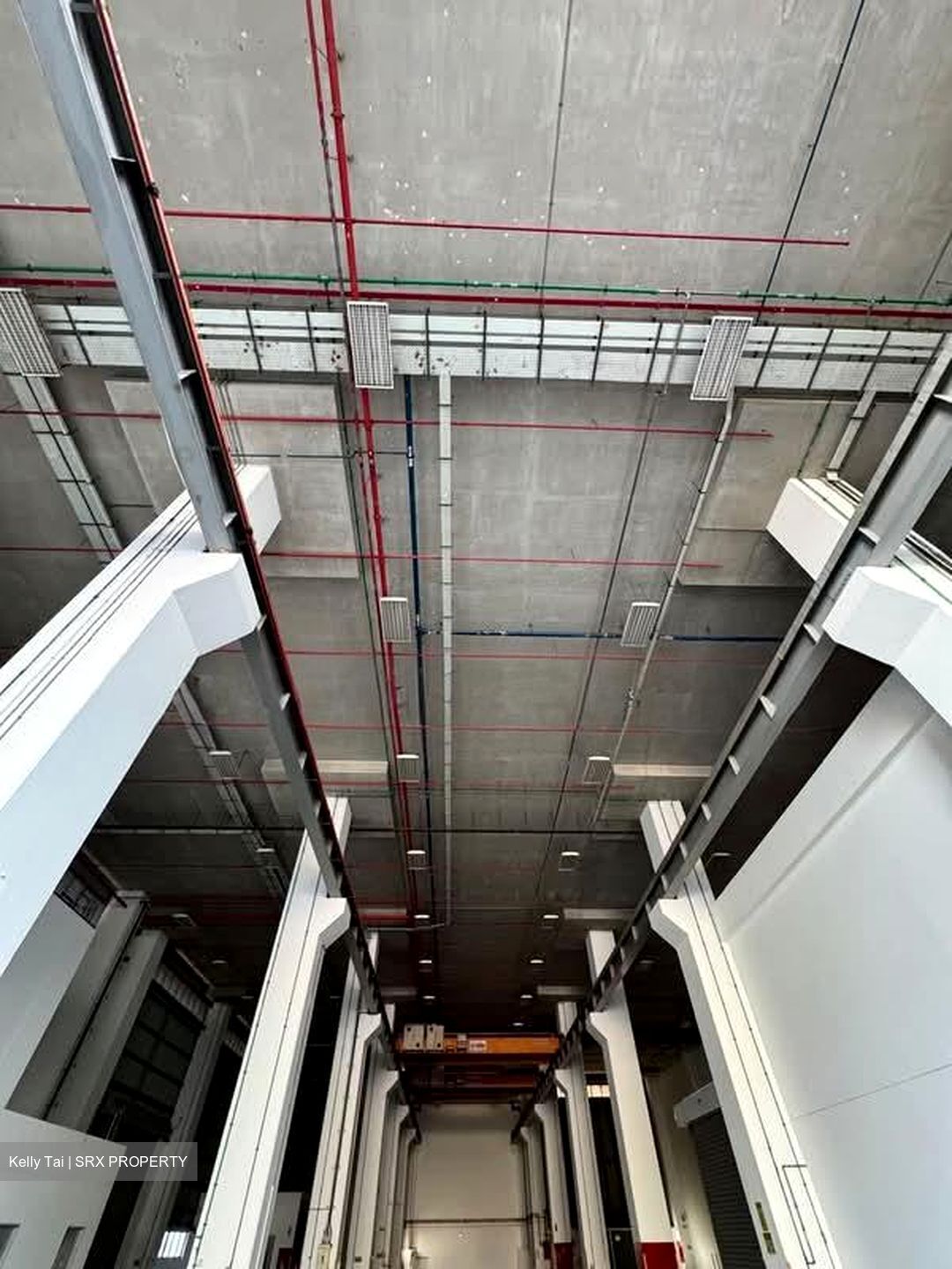 Loyang Industrial Estate (D17), Factory #593484191